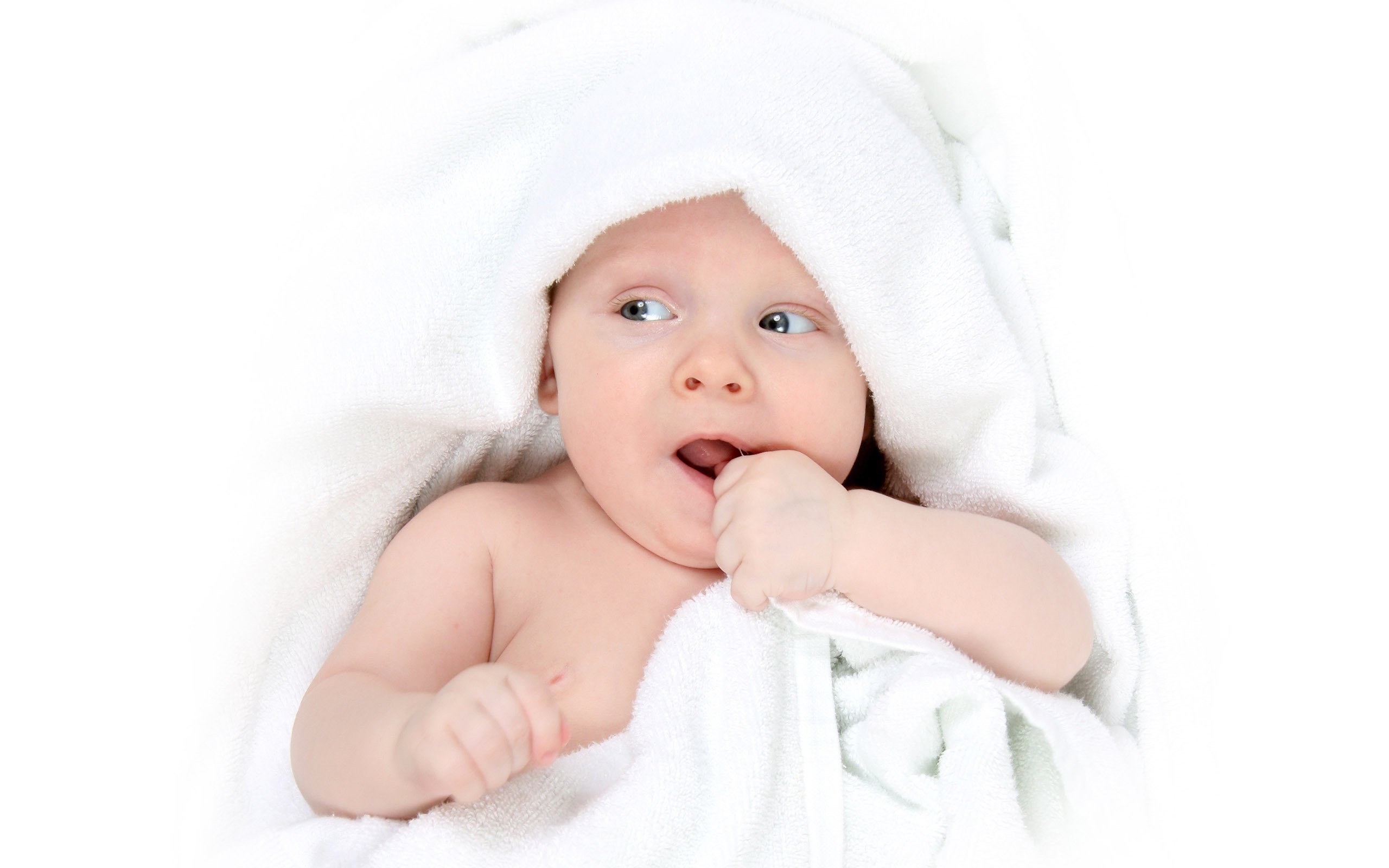 呼和浩特第三方辅助生殖供精试管婴儿成功率是多少
